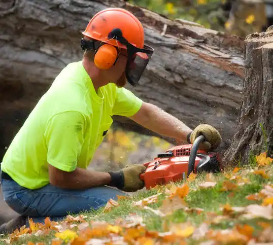 tree services Jeffersonville